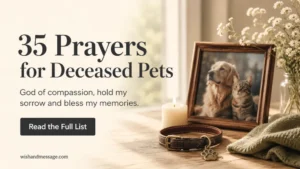 Pet memorial with framed dog and cat photo, collar, candle, and text about 35 prayers for deceased pets.