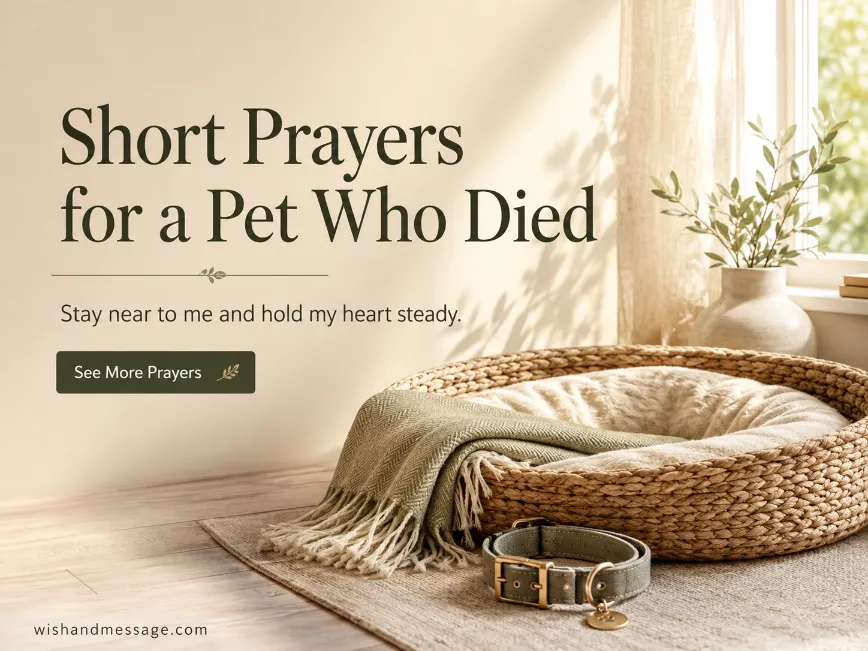 Empty woven pet bed and collar in soft morning light with a short pet-loss prayer.
